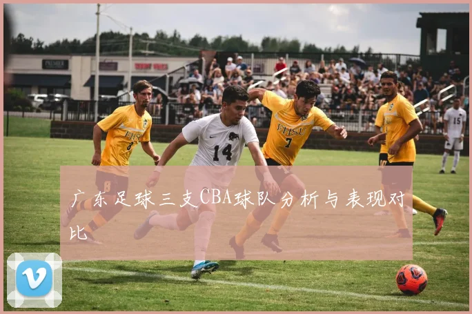 广东足球三支CBA球队分析与表现对比