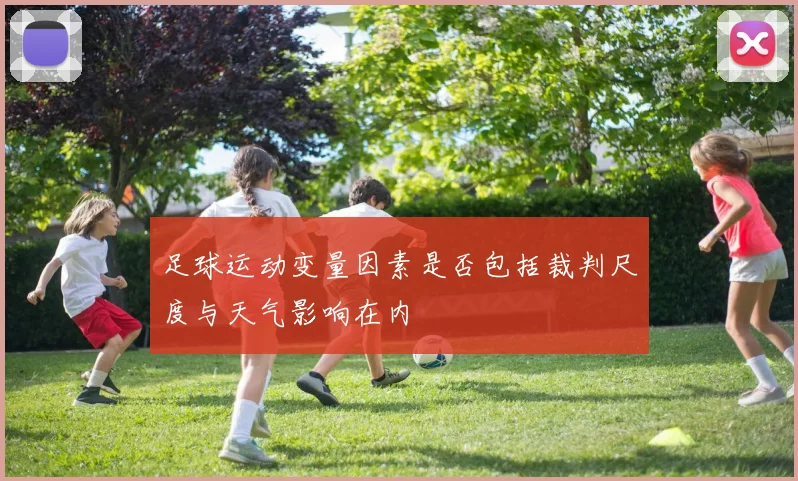 足球运动变量因素是否包括裁判尺度与天气影响在内